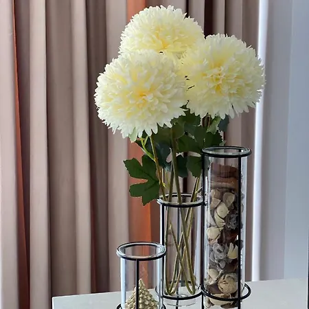 Zeita Din Bel-air, Nord