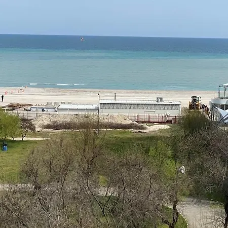 Zeita Din Bel-air, Nord *