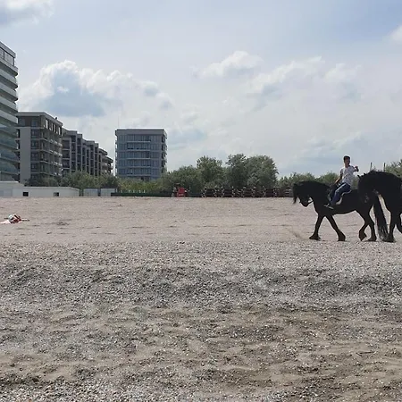 Zeita Din Bel-air, Nord Apartment *