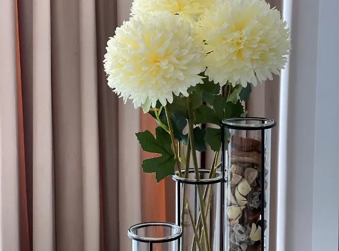 Zeita Din Bel-air, Nord