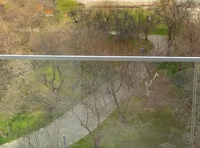 Zeita Din Bel-air, Nord Mamaia