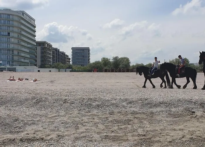 Zeita Din Bel-air, Nord Apartmán *