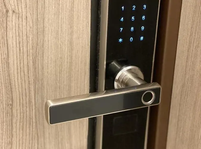 Zeita Din Bel-air, Nord * Mamaia